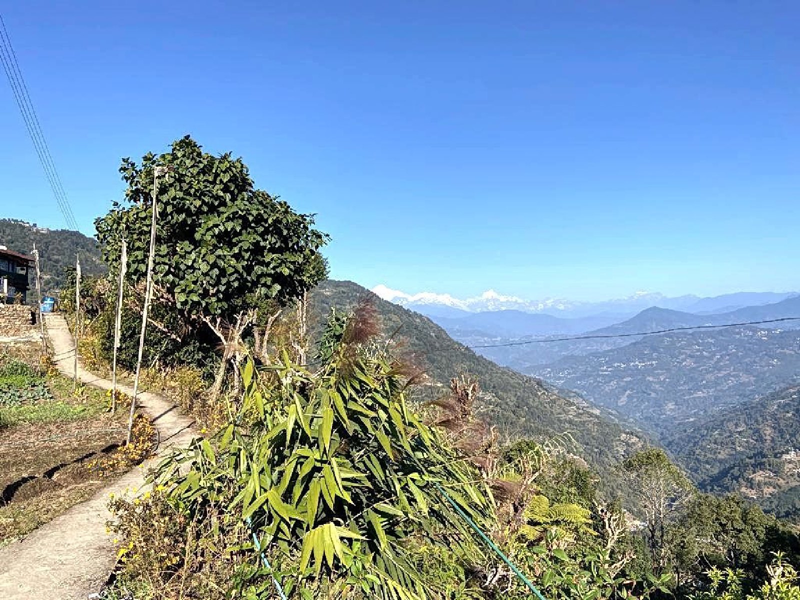 Kolakham
