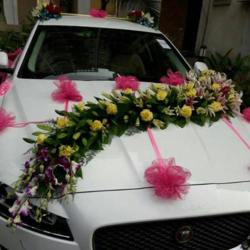 WhatsApp Image 2025-01-07 at 17.42.42